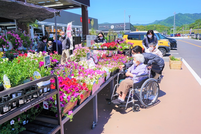 花を見に外出